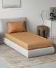 DDecor Live Beautiful Rust Orange Cotton 180 TC Single Bedsheet with 1 Pillow Cover