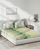 DDecor Green White 144 TC Cotton Queen Bedsheet with 2 Pillow  Covers