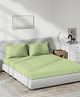 DDecor Green Cotton 180 TC Queen Bedsheet With 2 Pillow Covers