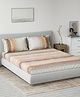 DDecor Brown White Striped Cotton 144 TC Queen Bedsheet with 2 Pillow Covers