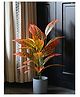 Blooming Floret Artificial Red Iceton Croton Plant