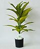 Blooming Floret Artificial Yellow Iceton Croton Indoor Plant