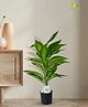 Blooming Floret Artificial Dieffenbachia Amoena Plant