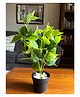 Blooming Floret Artificial Jade Pothos Plant