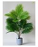 Blooming Floret Artificial Areca Palm Plant 76.2 cm Tall with Basic Black Pot | 21 Leaves | Big Ornamental Plant for Interior Decor/Home Decor/Office Decor | Indoor Tropical Plant | Durable