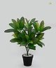 Blooming Floret Artificial Croton Leaf Plant