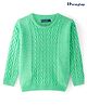 Honeyhap Premium Knitted Full Sleeves Pullover Sweater with Cable Knit Design - Light Green