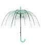 CHAATEWALA Floral Printed Transparent Umbrella - Green