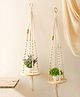 Karighar Round Pine wood hanging shelves