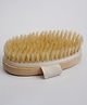 Organic B Velvet Touch Beach Wood Body Scrubber Brush | Oval Shaped