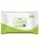 GINNI Shampoo Towel Wet Wipes No Water and Rinsing Required - 10 Pulls per Pack (Pack of 1)