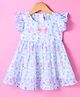 Dew Drops Chiffon Woven Frill Sleeves Checkered Frock With Bow Applique - Sky Blue & Pink