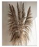 Vanchai Bend Head Natural Pampas Grass- 10 Dried Grass