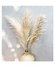 Vanchai Off White Natural Pampas