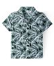 Babyhug Cotton Viscose Woven Half Sleeves Resort Colla