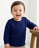 Doodle Poodle Knitted Full Sleeves Solid Colour Pullover Sweater with Cable Knit Design - Blue