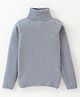 Yellow Apple Viscose Knit Full Sleeves Turtle Neck Solid Colour Winter T-Shirt - Grey
