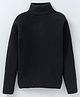 Yellow Apple Viscose Knit Full Sleeves Turtle Neck  Solid Colour Winter T-Shirt - Black
