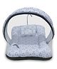 Kradyl Kroft Bassinet Style Mosquito Net Bedding for Infants-MQ-Penguin