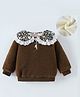 Kookie Kids Full Sleeves Peter Pan Collared Solid Winter Top - Brown