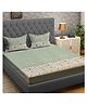 RRC Super Soft Brushed Microfiber Cotton Double Bedsheet With 2 Pillow Cover Light Green