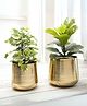Behoma  Metal Gold Ribbed Planter, Set of 2