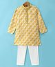 Robo Fry Silk Woven Full Sleeves Kurta Pyjama Set with Paisley Print - Golden