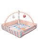TIDY SLEEP Baby Play Gym | Activity play gym with 4 Detachable Toys,| Foldable - Happy Baby