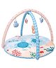 TIDY SLEEP Baby Play Mat | Activity play Mat with 4 Detachable Toys,| Foldable - In to the Sea