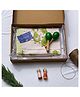 Gudgoodie Baby Gift Set Cotton Muslin Dohar and Set of 2 Maracas  Avocados