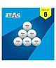 STAG ICONIC High Performance Seam Table Tennis (T.T) Balls| Advanced 40+mm Ping Pong Balls for Training, Tournaments and Recreational Play| Durable for Indoor/Outdoor Game - Pack of 6 (White)