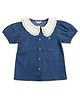US Polo Assn Cotton Knit Half Sleeves Top with Schiffli Peter Pan Collar - Blue