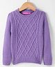 Wingsfield Full Sleeves Cable Knit Designed Pullover - Purple