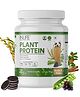 INLIFE Plant Protein Powder - Pea, Quinoa & Brown Rice - 25g Protein - Ashwagandha, Green Tea & Grape Seed Extract - Digestive Enzymes Bodybuilding Supplement (Cookies & Cream, 1kg)