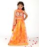 Elaisha Sleeveless Butterfly Hand Embroidered Top With Organza Flared Lehenga & Dupatta Set - Orange