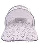 Babytoons New Born Baby Bedding Set Mattress with Mosquito Net and Pillow (0-6 Months) Grey