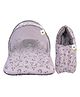 Babytoons Born Baby Combo of Bed with Net & Carry Bag(0-6 Months)