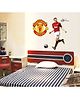 Oren Empower Robin Van Wall Sticker - Multi Colour
