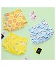 SuperBottoms Padded Underwear for 2-3Y Babies | Potty Training Pants for Mess-Free Diaper-Free Time | Explorer | Pack of 3