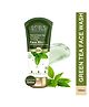 Lotus Botanicals Natural Green Tea HydraDetox Clarifying Face Wash with Niacinamide  Boosts Glow & Brightens Skin Fights Acne and Pimples Tightens Pores & Clears Toxins Preservative Free For All Skin Types - 100 g