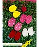 COCOON ORGANICS Cotton Pack Of 5 Anti Microbial Solid Mittens - Multi Colour