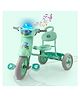 Dash Vega Tricycle With Light, Music & Storage Basket - Green