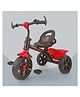 Dash Thunder Tricycle with Storage Basket & Bell - Red