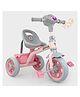 Dash Discover Kids Tricycle with Music  Light  Storage Basket  Safety Belt  Adjustable Height - Pink