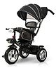 Baybee Klinto 2 in 1 Baby Tricycle for Kids, Plug N Play Kids Tricycle with Parental Control, Canopy, Rubber Wheels & Safety guardrail  (Black)