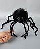 Tipy Tipy Tap Halloween Theme Spider Designed Hair Band - Black