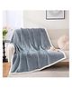 Butterthief Butterfly Cozy Super Soft Warm Double Layered Kids Sherpa Blanket - Color May Vary