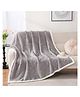 Butterthief Butterfly Cozy Super Soft Warm Double Layered Kids Sherpa Blanket - Color May Vary