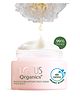 Lotus Organics+ Precious Brightening Night Cream | For Dark Spots, Blemishes & Pigmentation | Night Moisturiser | 30 g