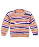 Windrop Solutions Full Sleeves Self Designed Crocheted Sweater - Multi Colour